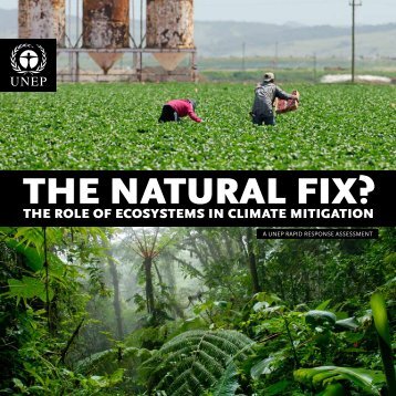 THE NATURAL FIX? - UNEP