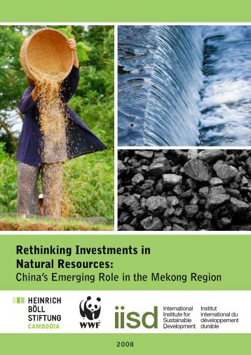 Rethinking Investments in Natural Resources: China's Emerging ...