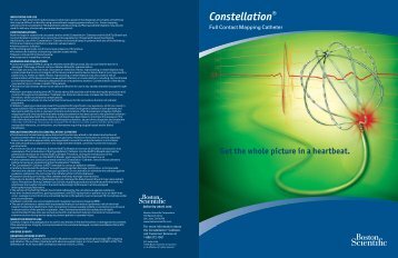 Constellation Brochure:002848bsepco v6 sa ... - Boston Scientific