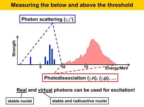 The structure of the Pygmy Dipole Resonance