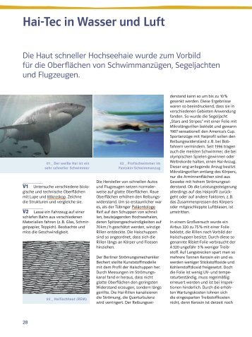 Bionik: Hai-Tec in Wasser und Luft