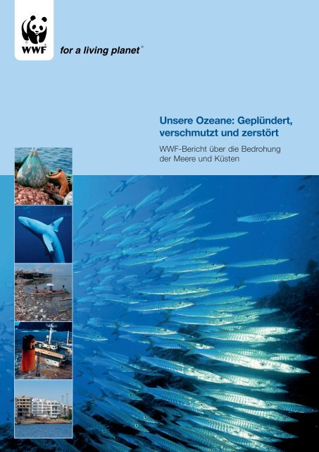 Unsere Ozeane: Geplündert, verschmutzt und ... - IKZM-D Lernen