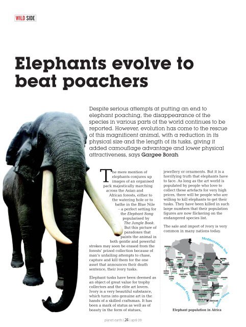 Elephants evolve to beat poachers - India Environment Portal Elephants evolve to beat poachers - India Environment Portal