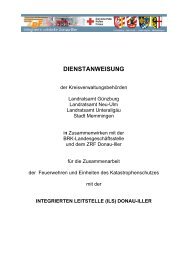 Dienstanweisung Zusammenarbeit der Feuerwehren und Einheiten ...