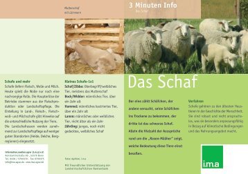 Das Schaf - information.medien.agrar eV