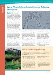 Crisis - World Phytophthora and Oomycete Genetic Resource ...