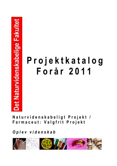 Projekt 4. - Institut for Matematik og Datalogi - Syddansk Universitet