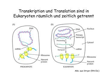 Biochemie I_10.pdf