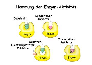 Hemmung der Enzym-Aktivität Substrat Kompetitiver Inhibitor