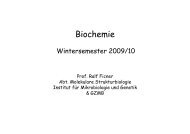 Vorlesung 19.10. - Institut für Mikrobiologie und Genetik