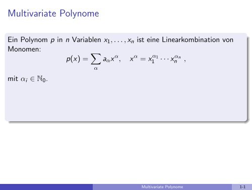 Multivariate Polynome - imng