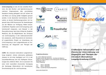 PneumoGrid - IfM GmbH