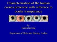 Characterization of the human cornea proteome with reference to ...