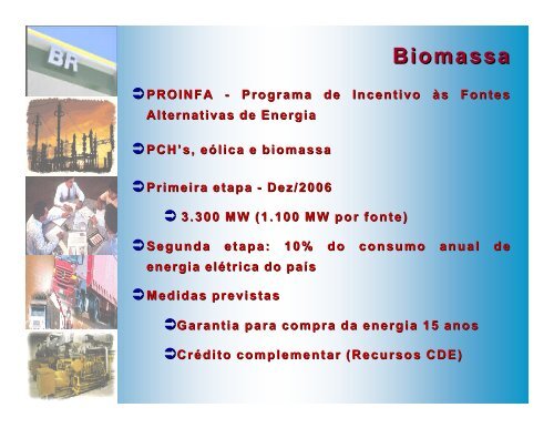 Petrobras-BR como alavancadora de projetos álcool e ... - INEE