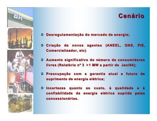 Petrobras-BR como alavancadora de projetos álcool e ... - INEE