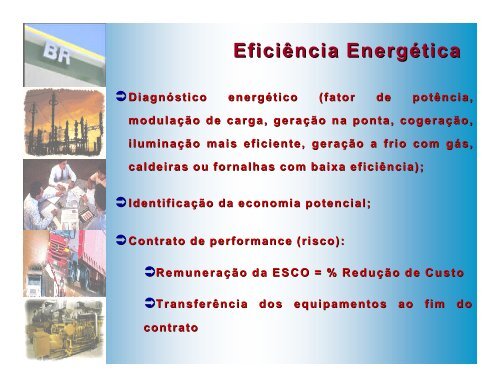 Petrobras-BR como alavancadora de projetos álcool e ... - INEE