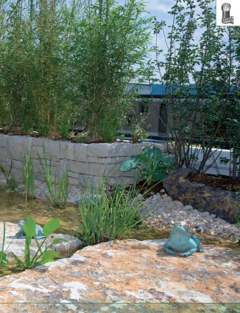 Wassergarten auf einer Dachterrasse - Egli Gartenbau AG