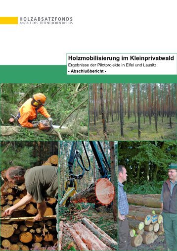 PDF-Datei [3.2MB] - Info-Holzmobilisierung.de