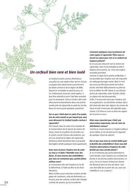 download Zeitschrift - Info Flora