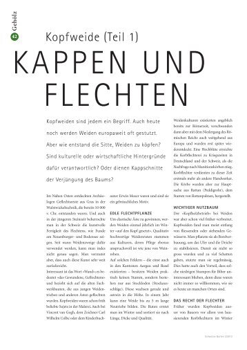 Kappen und Flechten, Kopfweide 1. Teil - Baumpflege Dietrich GmbH
