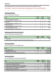 Anhang 4: Beteiligungen Belp - Einwohnergemeinde Belp