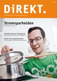 2011 als (PDF) - Energie Wasser Bern