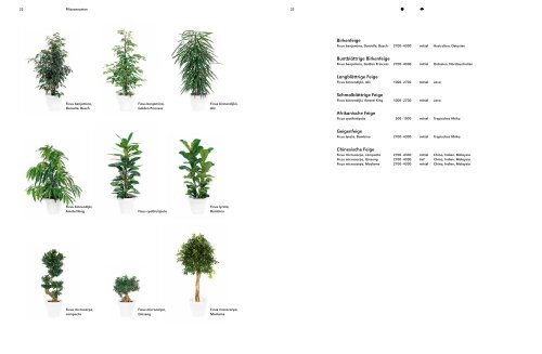 Produkte 2013 - Hydroplant AG