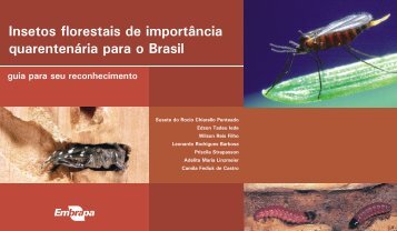 Insetos florestais de importÃ¢ncia quarentenÃ¡ria para o Brasil
