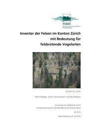 Inventar der Felsen im Kanton Zürich mit Bedeutung für ... - Orniplan