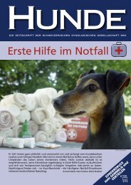 erste hilfe im Notfall - SKG