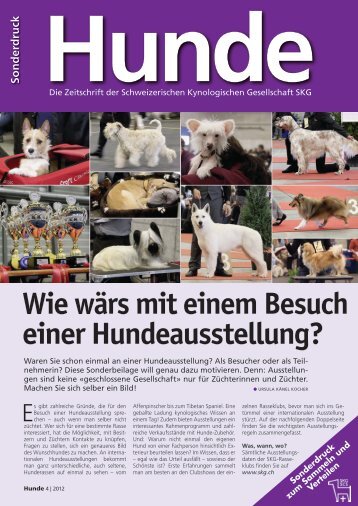 Wie wärs mit einem Besuch einer Hundeausstellung? - SKG