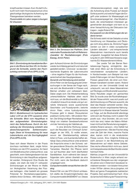 Nachrichten 1/2011 - Schweizerischer Wasserwirtschaftsverband