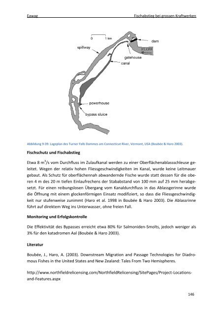 Massnahmen zur Gewährleistung eines schonenden Fischabstiegs ...