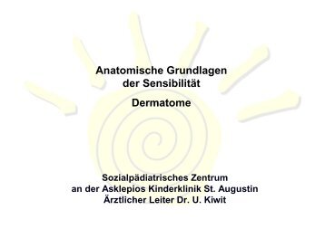 Anatomische Grundlagen der Sensibilität Dermatome - ASbH