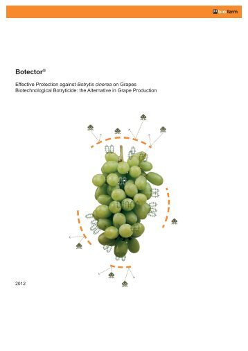 Botector® - bio-ferm