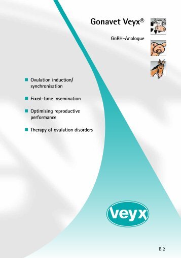 Veyxyl® Tabs Gonavet Veyx® - Veyx-Pharma GmbH