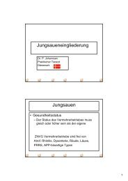 Jungsaueneingliederung Jungsauen