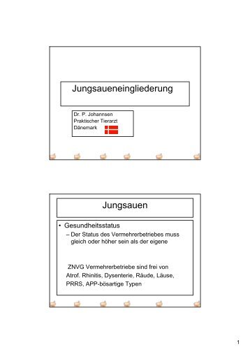 Jungsaueneingliederung Jungsauen