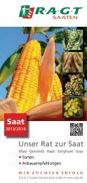 schilf künstlich Künstliches Schilf, grün-braun inkl. Ziertopf, braun