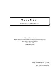 Wundfibel