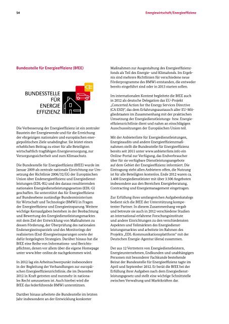 Jahresbericht 2012 / 2013 - Bafa