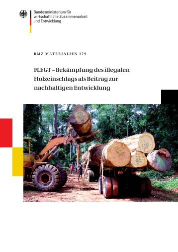 FLEGT - Bekämpfung des illegalen Holzeinschlags als ... - BMZ