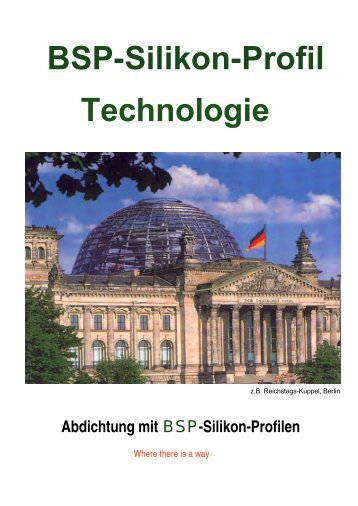 Katalog im PDF-Format - BSP Silikon-Profile GmbH