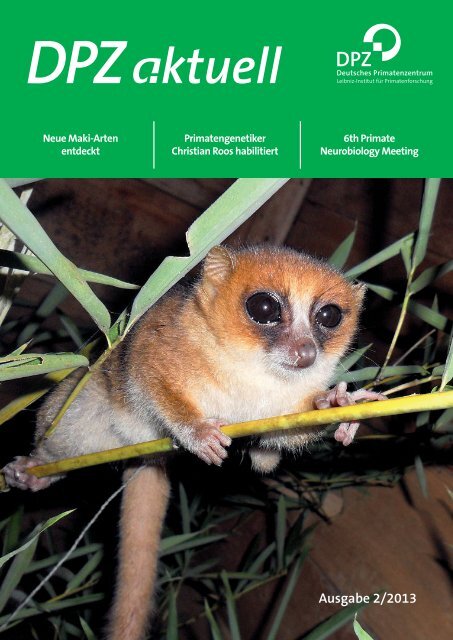 Ausgabe 2/2013 - Deutsches Primatenzentrum