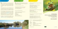 Projektanträge 111-Arten-Korb: EnBW-Amphibienschutzprogramm ...