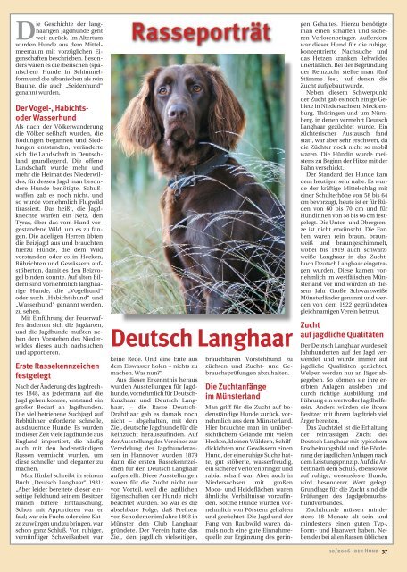 Rasseporträt Deutsch Langhaar Von Der Hafkesdell