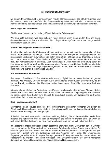 Informationsblatt „Hornissen“ Mit diesem Informationsblatt ... - Jena