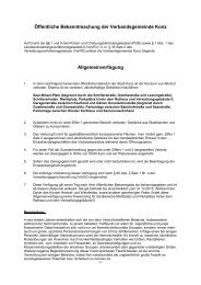 Allgemeinverfügung Alkoholverbot Zwangsgeld 01 02 2013.pdf