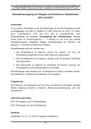 Der Ergebnisbericht als pdf