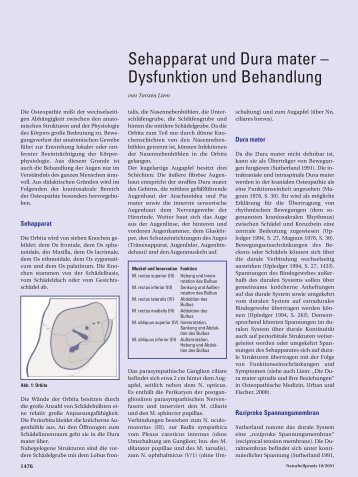 Sehapparat und Dura mater - Osteopathie-Schule Deutschland